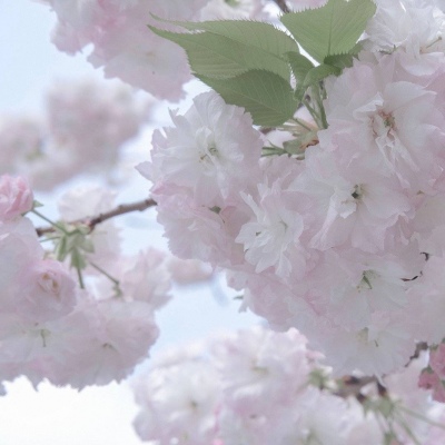 Furry绘画光影解析福瑞群